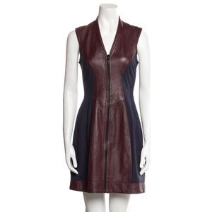 Yigal Azrouel Burgundy and Navy Mini Dress